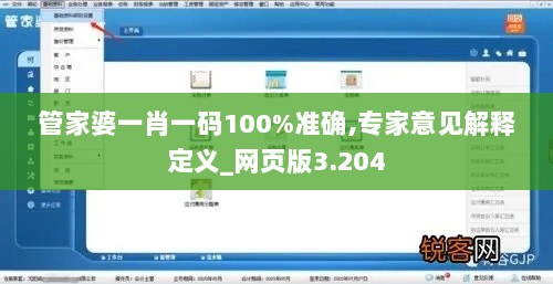 管家婆一肖一码100%准确,专家意见解释定义_网页版3.204