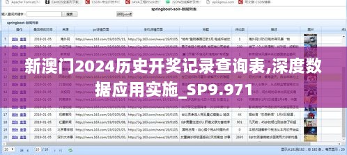 新澳门2024历史开奖记录查询表,深度数据应用实施_SP9.971