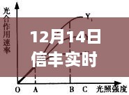 12月14日信丰实时疫情动态表格，展现学习、智慧与勇气的力量