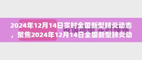 聚焦全国新型肺炎动态，深度分析与个人立场（2024年12月14日实时更新）