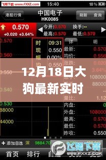 独家爆料，12月18日大狗最新实时行情深度解析与走势揭秘！