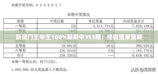 新澳门王中王100%期期中353期：终极赢家策略