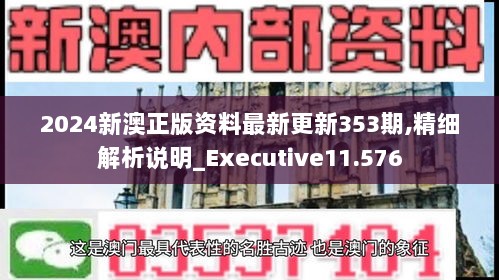 2024新澳正版资料最新更新353期,精细解析说明_Executive11.576