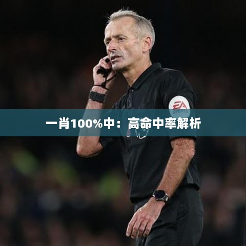 一肖100%中：高命中率解析