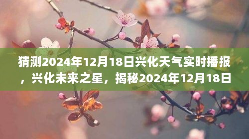 2024年12月19日 第7页