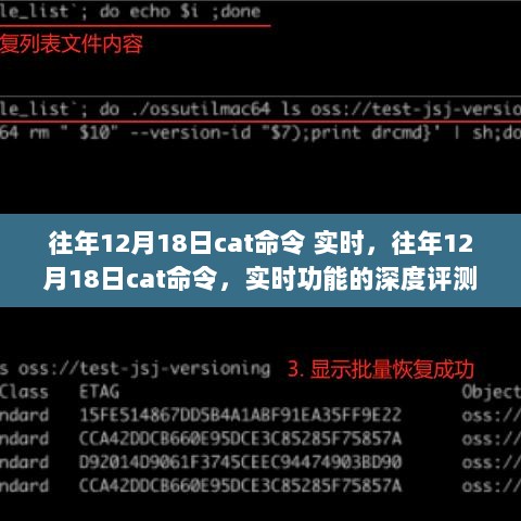 往年12月18日cat命令实时功能深度解析与评测介绍