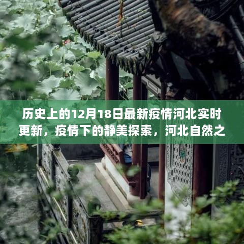 河北疫情下的静美探索，心灵洗涤之旅启程于十二月十八日实时更新