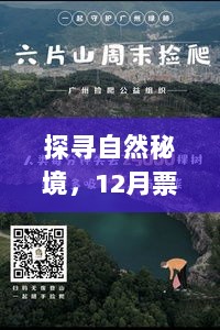 探寻自然秘境，心灵之旅与票房灯塔下的启示