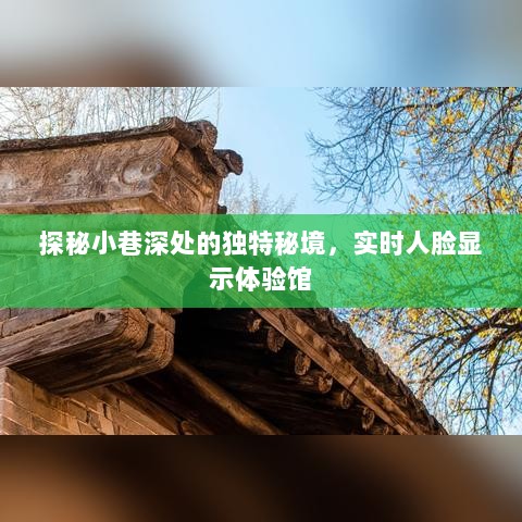 探秘小巷深处人脸显示体验馆，实时人脸技术的神秘之旅