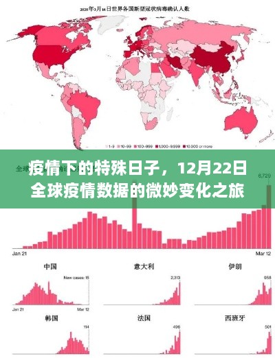 2024年12月23日 第15页