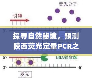 2024年12月23日 第10页