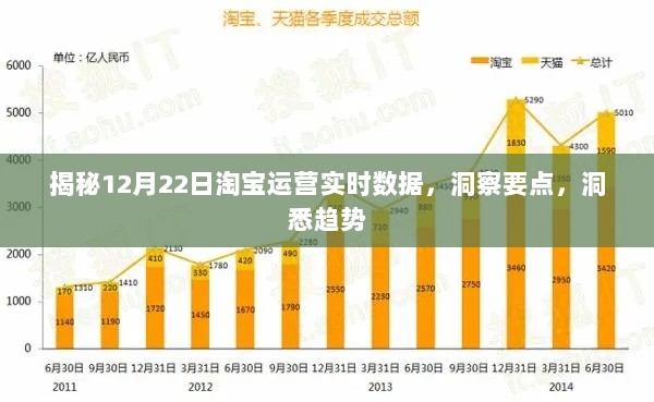 淘宝运营实时数据深度解析，洞悉趋势，把握要点（12月22日揭秘）