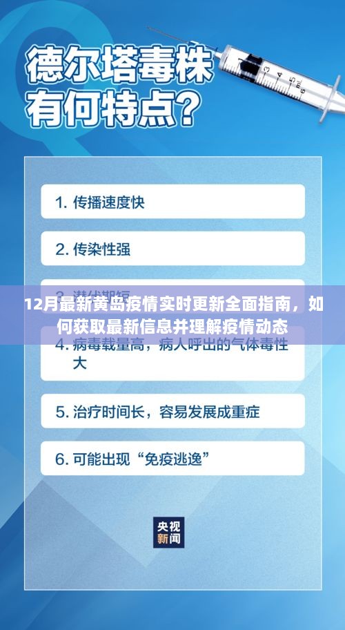 黄岛疫情最新动态，全面指南与实时更新，掌握最新信息理解疫情走势