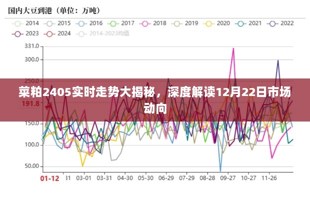 菜粕2405实时走势解析，深度解读市场动向（最新动态）