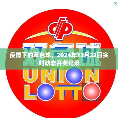 疫情下的双色球实时动态开奖记录，2024年12月22日数据一览