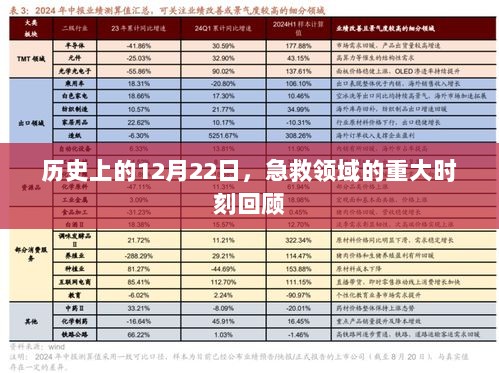 2024年12月25日 第13页