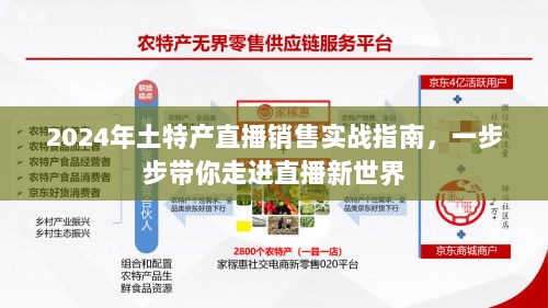 2024年土特产直播销售实战指南，带你走进直播新世界