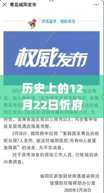 忻府区疫情实时观察报告，历史视角下的12月22日最新观察