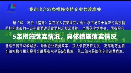 5条措施落实情况，具体措施落实情况 