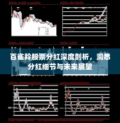 百雀羚股票分红深度剖析，洞悉分红细节与未来展望