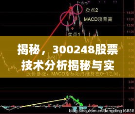 揭秘，300248股票技术分析揭秘与实战策略探索