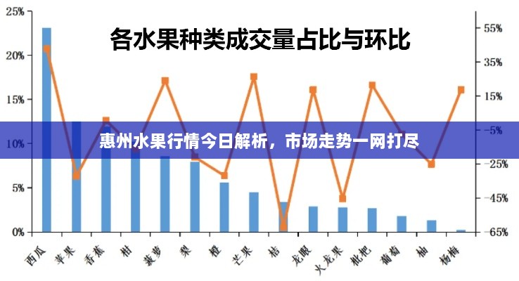 惠州水果行情今日解析，市场走势一网打尽