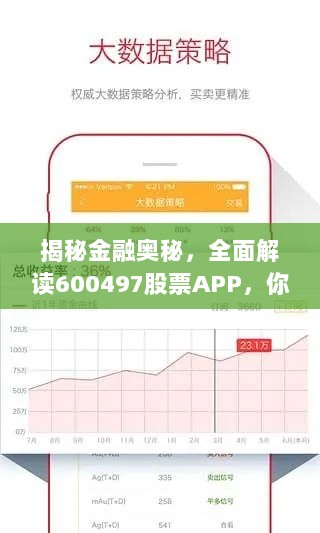 揭秘金融奥秘，全面解读600497股票APP，你的投资指南！