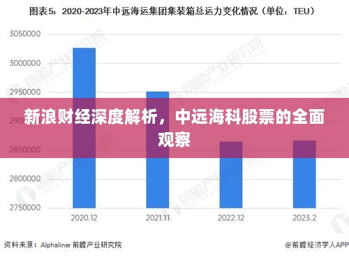 新浪财经深度解析，中远海科股票的全面观察