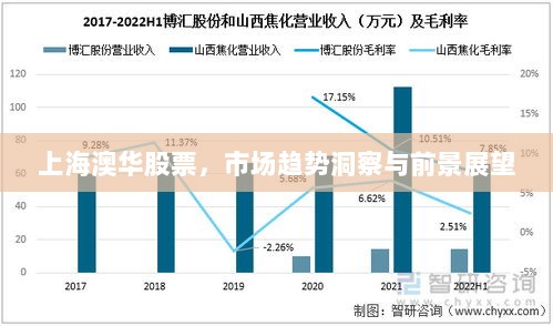 上海澳华股票，市场趋势洞察与前景展望