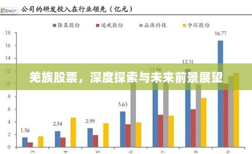 羌族股票，深度探索与未来前景展望