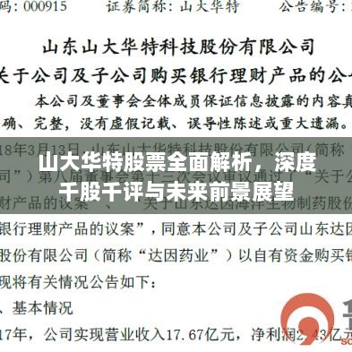 山大华特股票全面解析，深度千股千评与未来前景展望