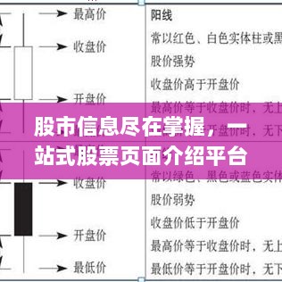 股市信息尽在掌握，一站式股票页面介绍平台