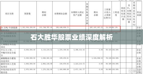 石大胜华股票业绩深度解析