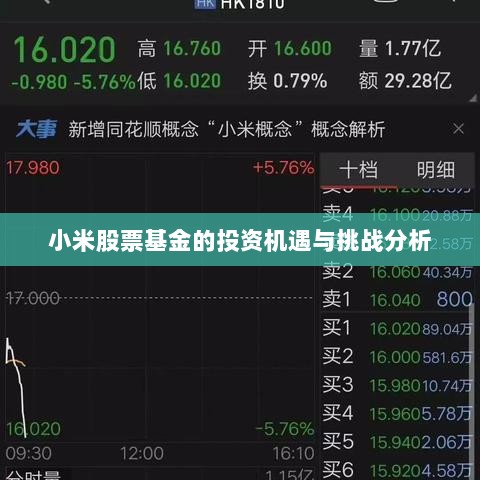 小米股票基金的投资机遇与挑战分析