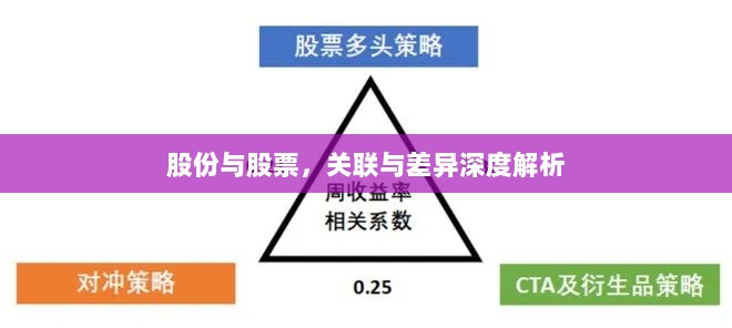 股份与股票，关联与差异深度解析