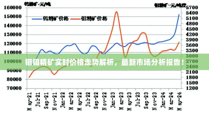 钼钼精矿实时价格走势解析，最新市场分析报告！