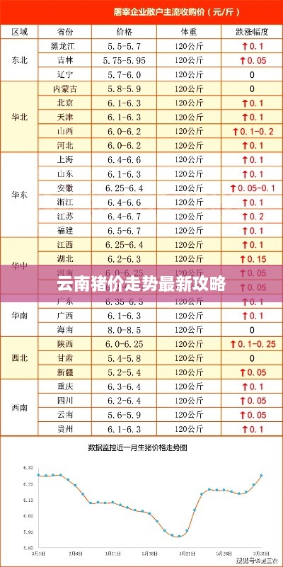 云南猪价走势最新攻略