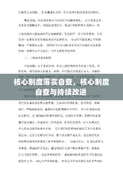 核心制度落实自查，核心制度自查与持续改进 