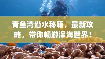 青鱼湾潜水秘籍，最新攻略，带你畅游深海世界！