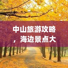 中山旅游攻略，海边景点大揭秘！