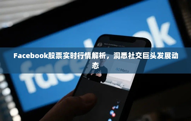 Facebook股票实时行情解析，洞悉社交巨头发展动态