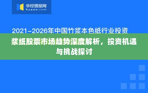 浆纸股票市场趋势深度解析，投资机遇与挑战探讨