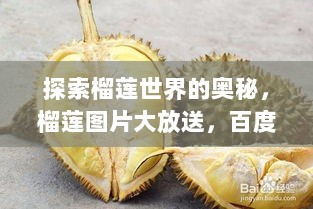 探索榴莲世界的奥秘，榴莲图片大放送，百度一搜便知