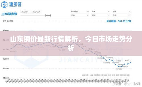 山东钢价最新行情解析，今日市场走势分析