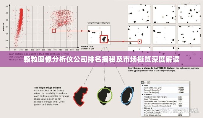 颗粒图像分析仪公司排名揭秘及市场概览深度解读