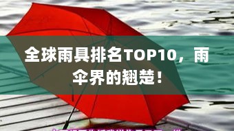 全球雨具排名TOP10，雨伞界的翘楚！