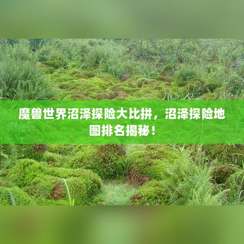 魔兽世界沼泽探险大比拼，沼泽探险地图排名揭秘！