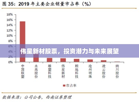 伟星新材股票，投资潜力与未来展望