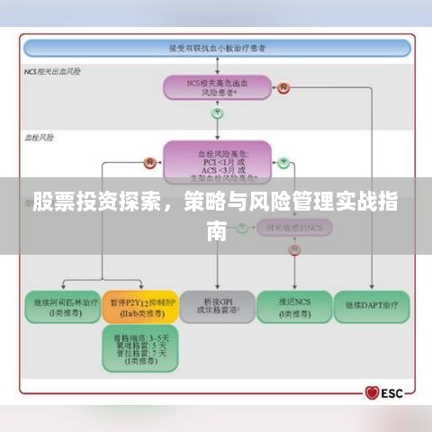 股票投资探索，策略与风险管理实战指南