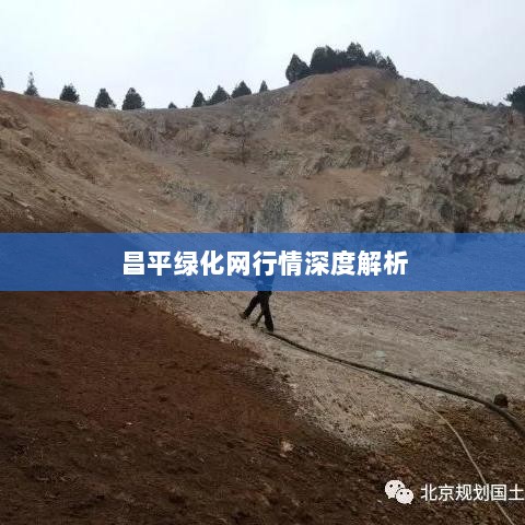 昌平绿化网行情深度解析